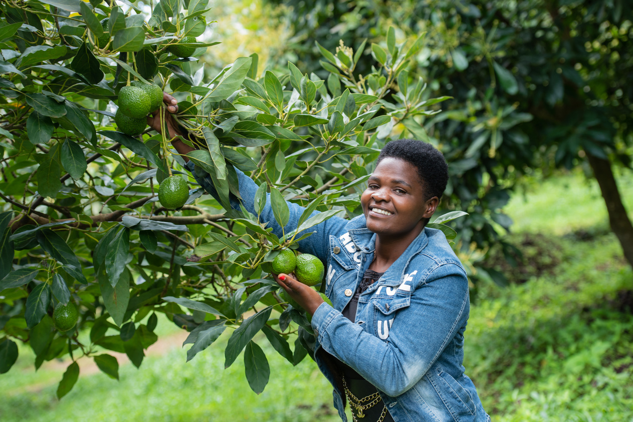Tanzanian farmer 1